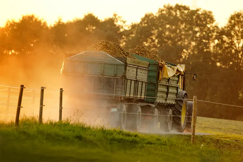 La importancia de los lubricantes en la industria alimentaria